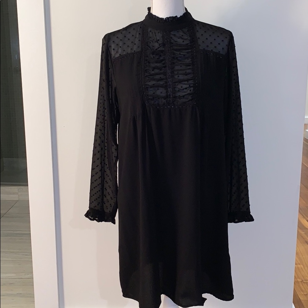 Zara Black Swiss Dot Long-Sleeve Mini Dress